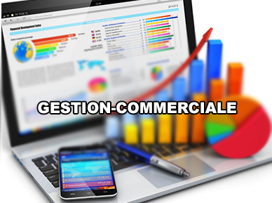 module-gestion-com